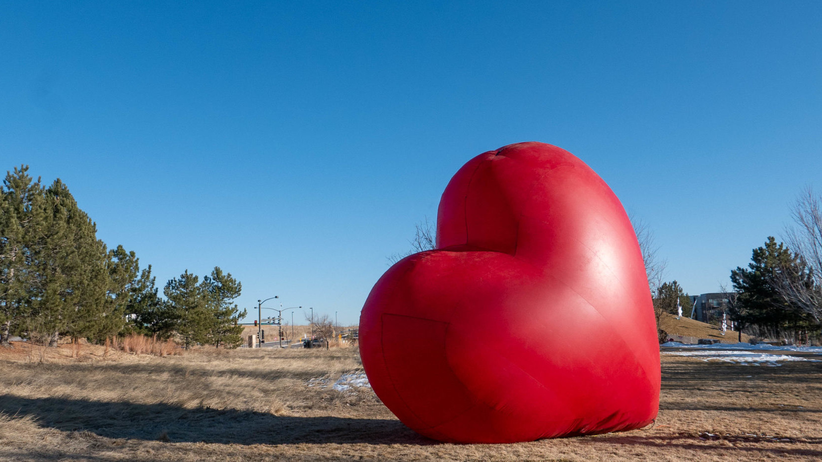 Chapungu Sculpture Park, Loveland, CO Loveland Sweethearts, Feb 18, 2024